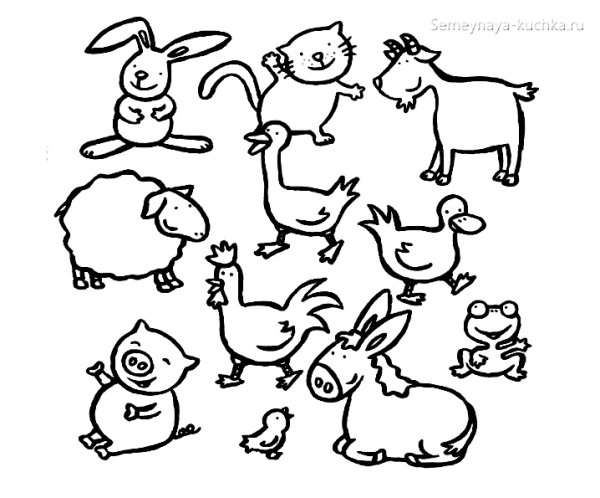 Domestic animals раскраска