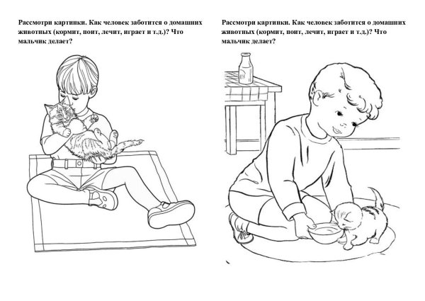 Уход за домашними животными задания для детей