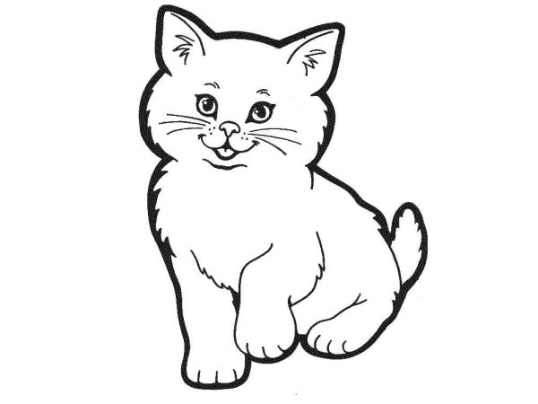 Кошка раскраска для детей