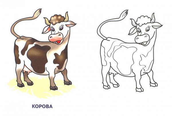 Раскраска корова