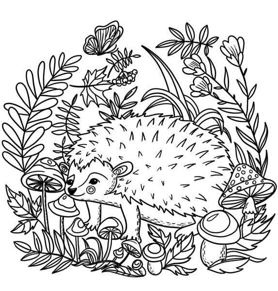 Еж раскраска