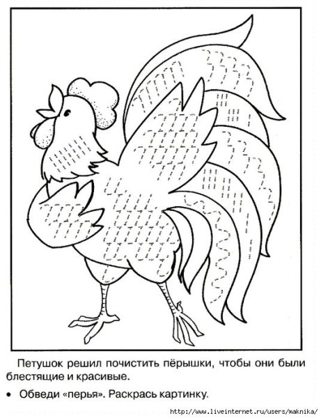 Птицы штриховка для детей
