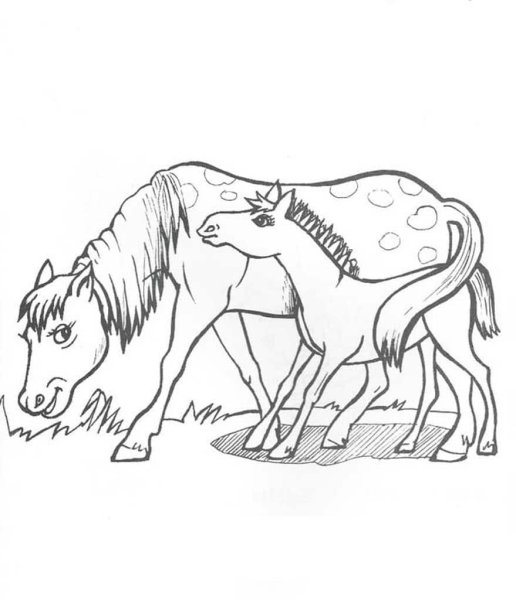 Щенок. Раскраска