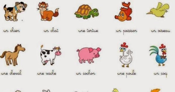 Домашние животные на французском языке