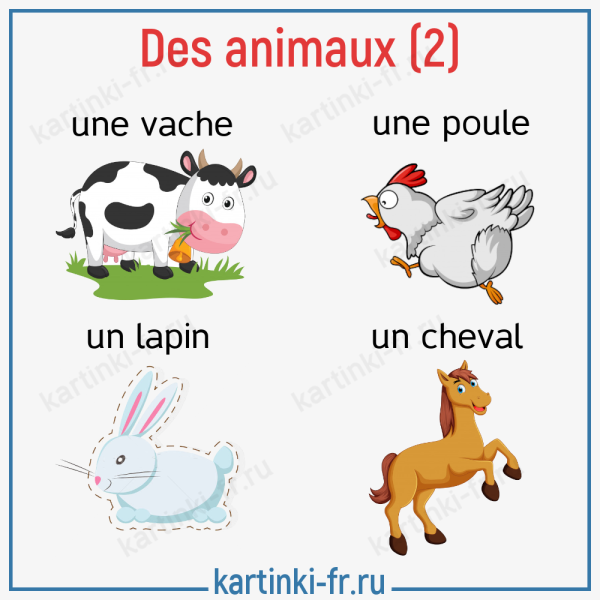 Домашние животные на французском языке