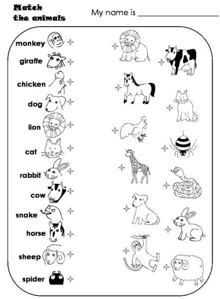 Английский animals Worksheets for Kids