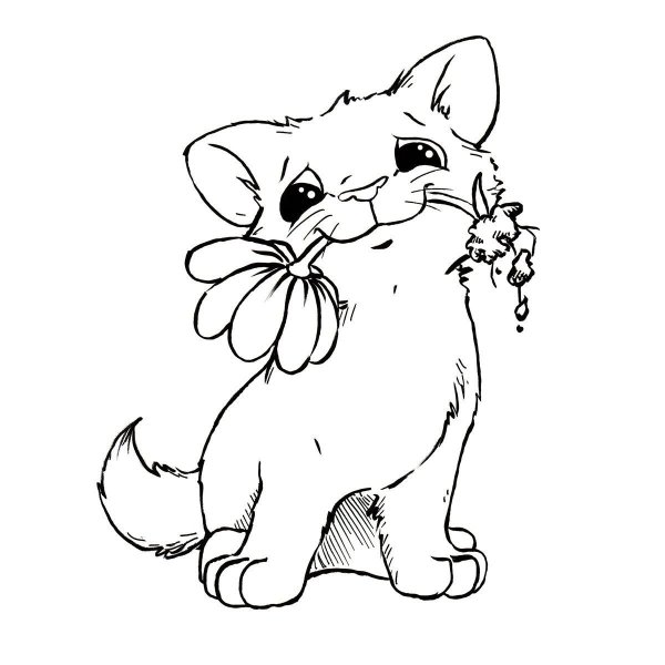 Кошечка с бантиком раскраска