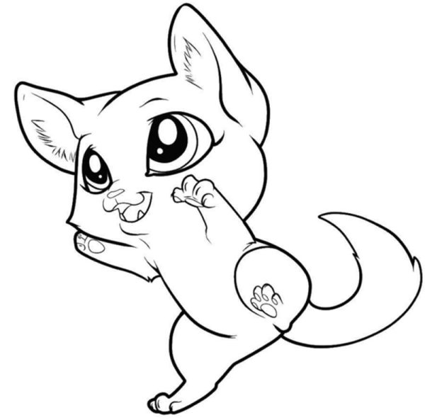 Раскраска кошечка
