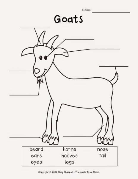 Parts of animals упражнения