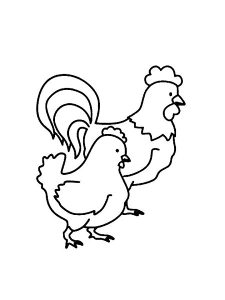 Курица и петух раскраска