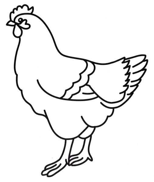 Курица раскраска