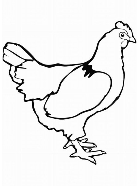 Курица раскраска