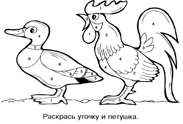 Домашние птицы раскраска для дошкольников