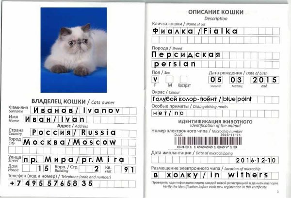 Как правильно заполнить Международный ветеринарный паспорт кошки