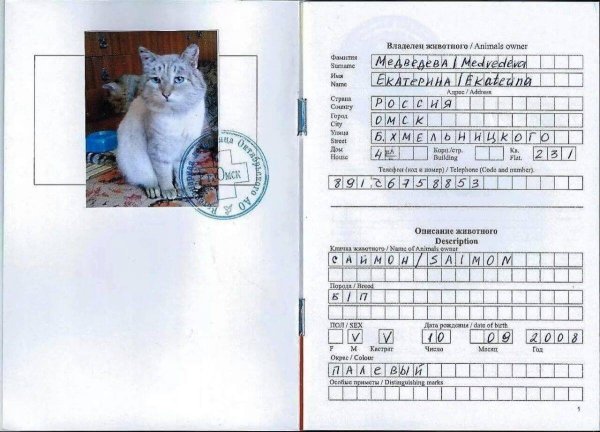 Как заполнить Международный ветеринарный паспорт для кошек