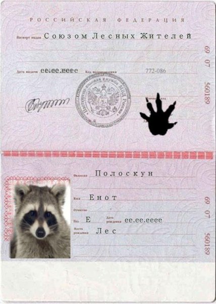Енот полоскун паспорт животного