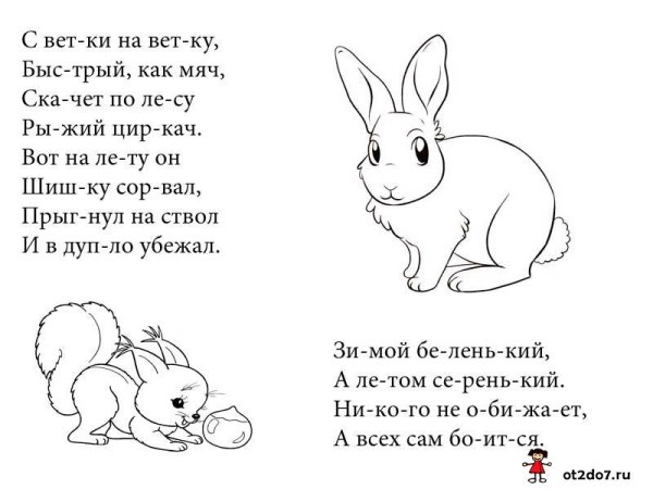 Загадки с рисунками