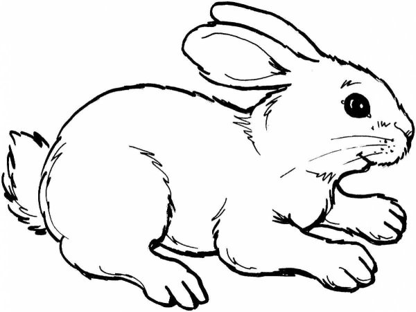 Зайчик зимний раскраска