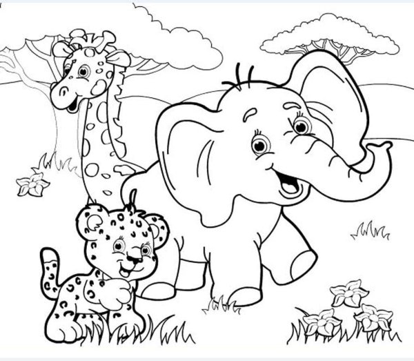 Рисунки животные африки (50 фото) » рисунки для срисовки на manikyrsha.ru