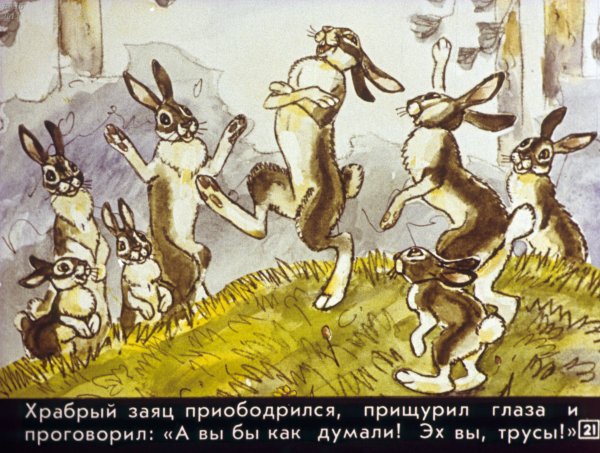 Раскраска "заяц - хваста"