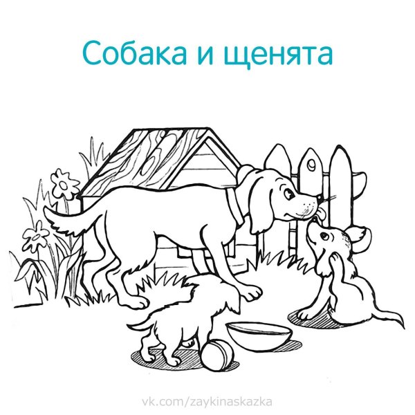Раскраски для детей домашние животные и их Детеныши