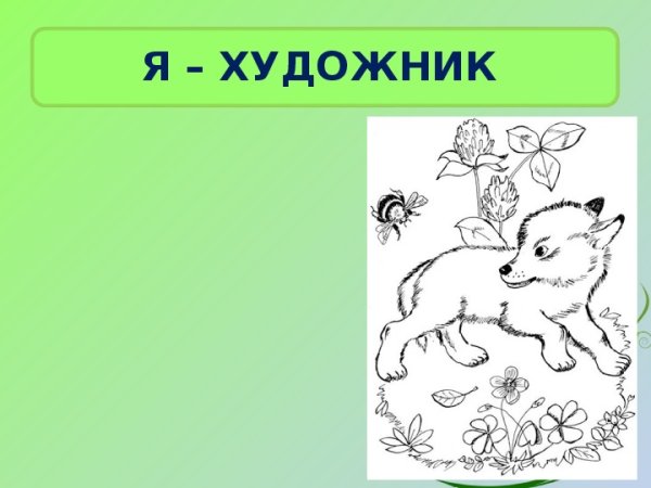 Чарушин Волчишко раскраска