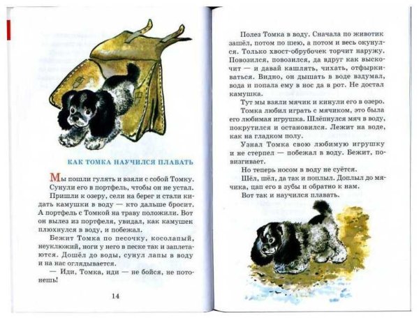 Рассказы про зверей и птиц Евгений Чарушин