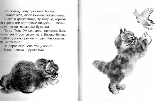 Тюпа Томка и сорока раскраска