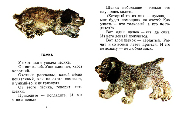 Чарушин про Томку