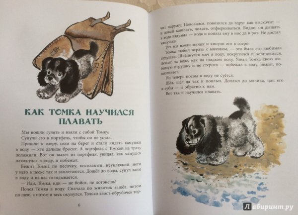 Евгения Чарушина, Тонкино сны.