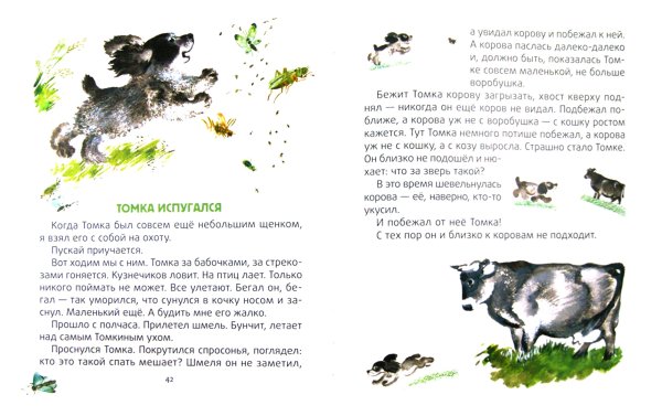 Раскраски рассказы о животных чарушин (61 фото)