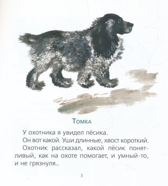 Чарушин рассказы про Томку