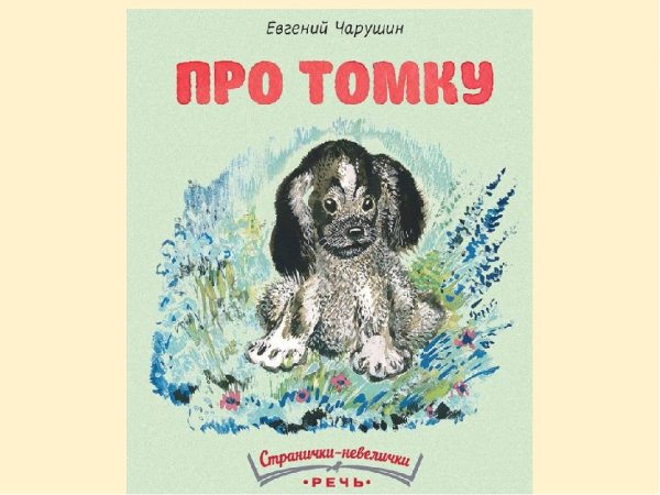 Иллюстрации Чарушина Томка