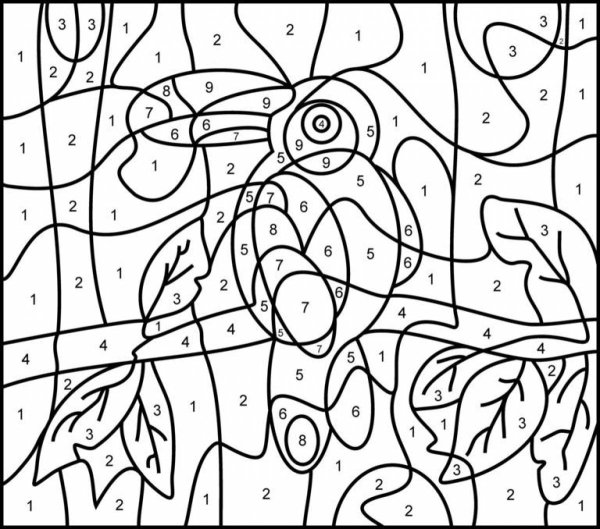 Color by number: раскраска