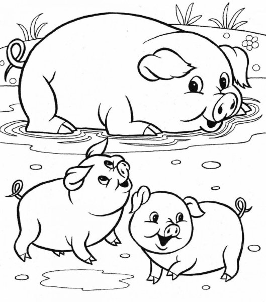 Поросенок раскраска для детей