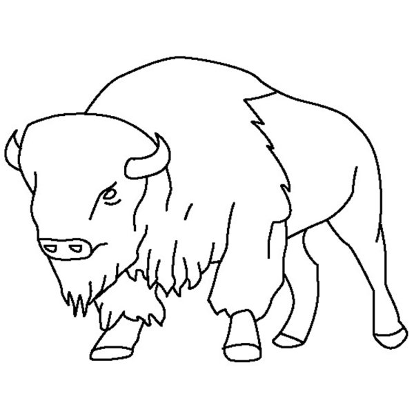 ЗУБР раскраска