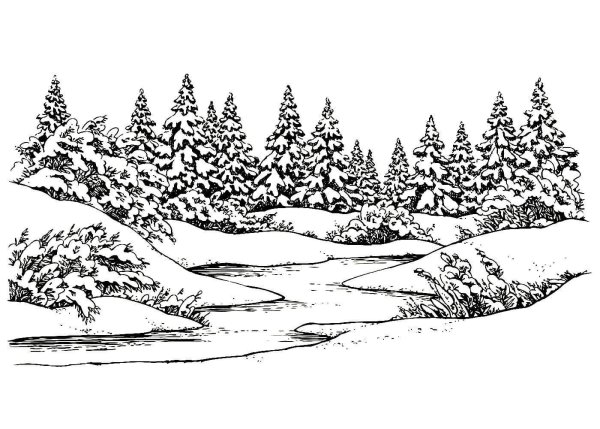 Зимний лес раскраска