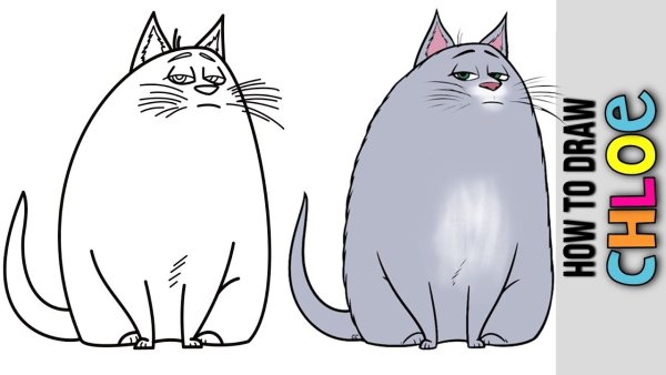 Кошка Хлоя рисунок