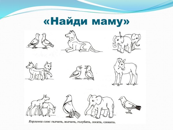 Найди маму