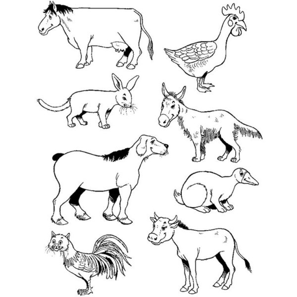 Шаблоны диких животных для рисования