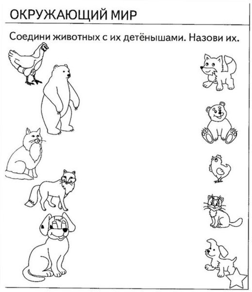 Задание п окружающему миру для дошкольников