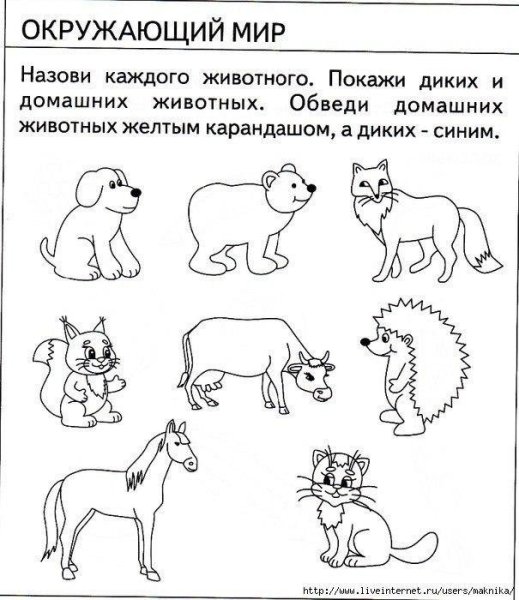 Задание по окружающему миру для дошкольников домашние животные