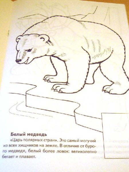 Красная книга раскраска