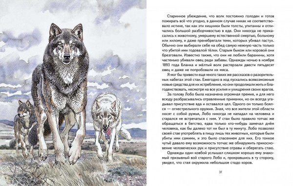 Эрнест Сетон-Томпсон: Лобо