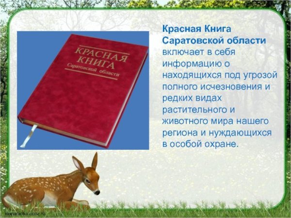 Животные Саратовской области занесенные в красную книгу