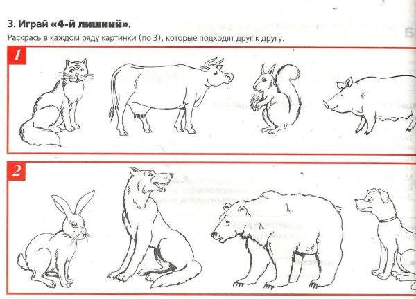 Дикие и домашние животные задания для дошкольников