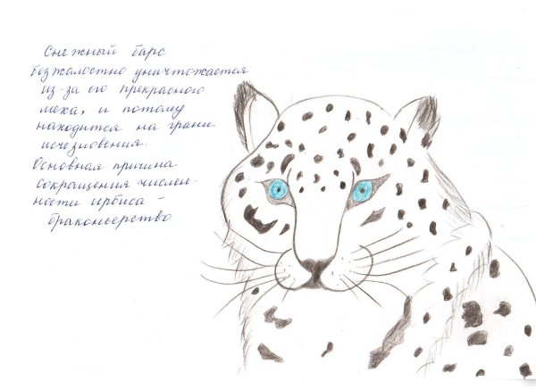 Рисунки животных из красной книги