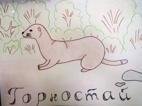Рисунок животного из красной книги