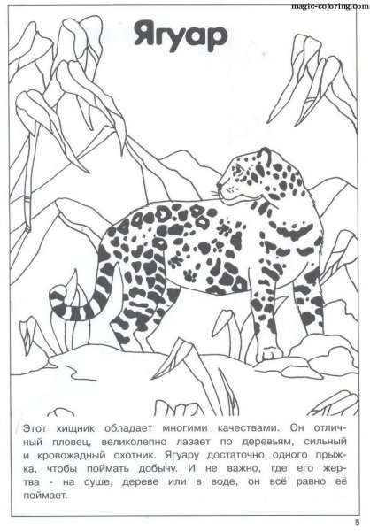 Красная книга раскраска
