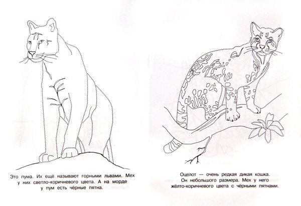 Красная книга раскраска